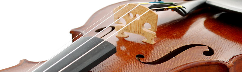 Mary Jane Kwan violin bridge